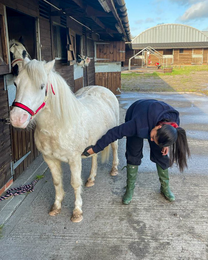 Animal Assisted Therapy