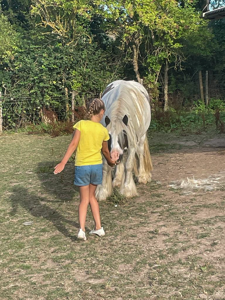 Animal Assisted Therapy 